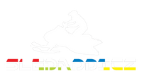 Sledaddicz